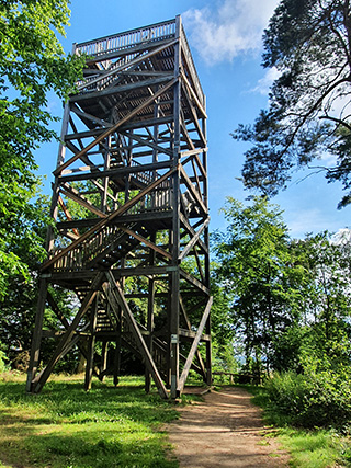 Die wundersame Reise der Bienen Provence in den Bergen